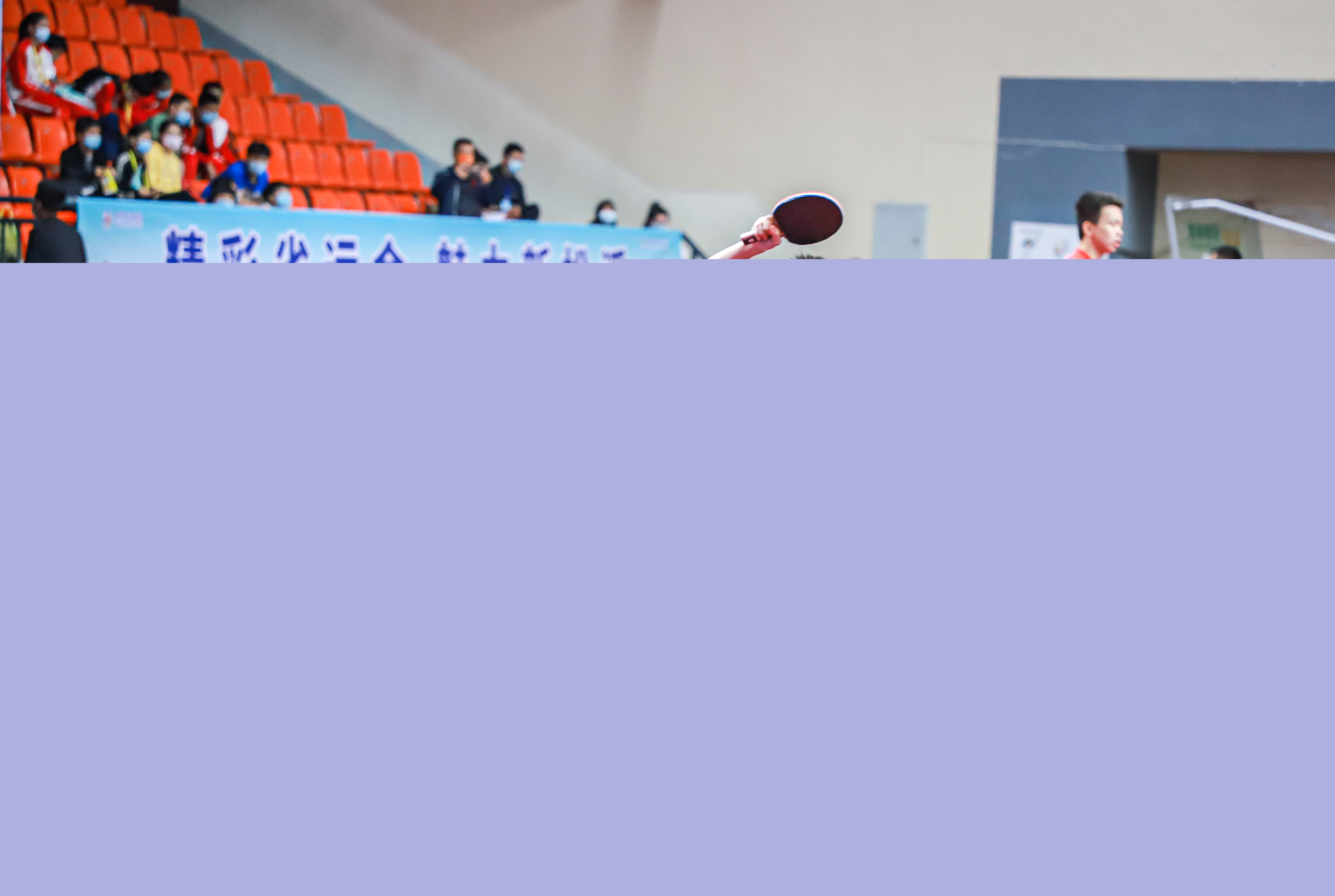 从官网销售 从官网销售